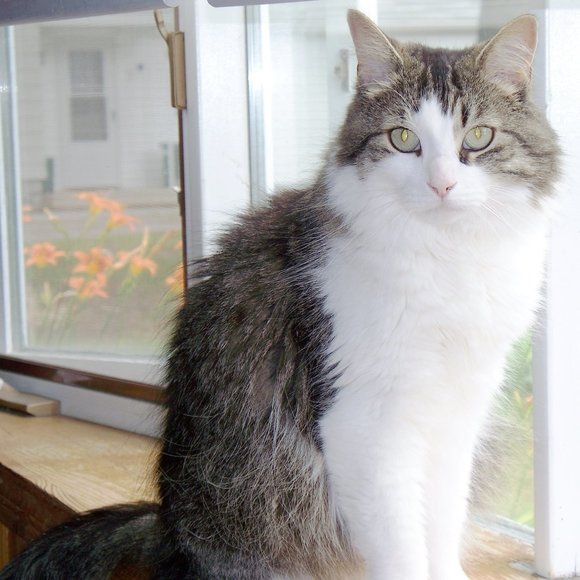 Meet your Posher, Lynn - Picture 5 of 5